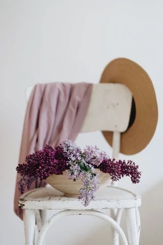 The Magic of Spring Plants – Lilac Flower Blossoms